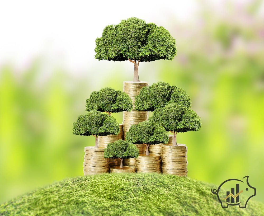 Investire in PIR: Per i minorenni quali sono i vincoli dei genitori?