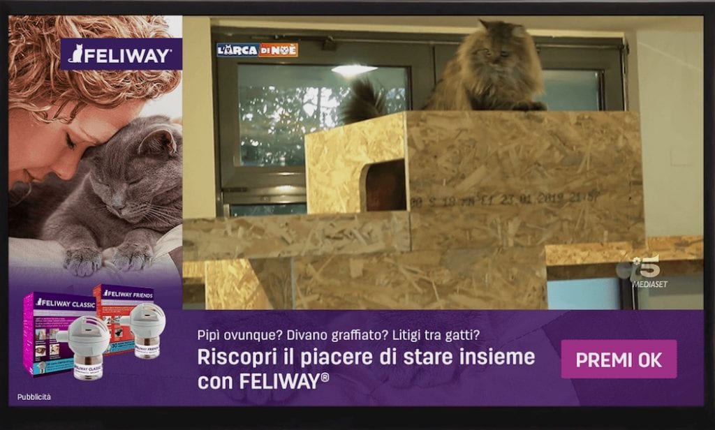  Feliway parla agli amanti dei gatti attraverso l’Addressable TV