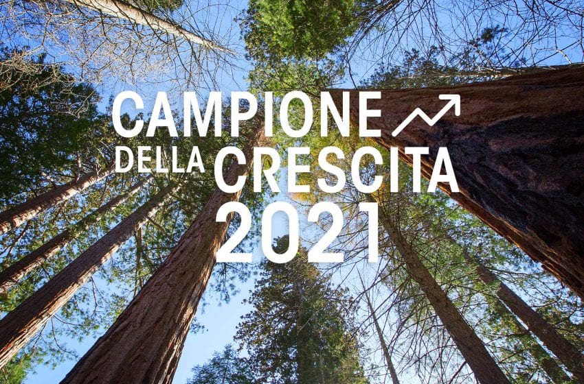 Digital Angels per la seconda volta è tra le società italiane nella classifica campione della crescita 2021