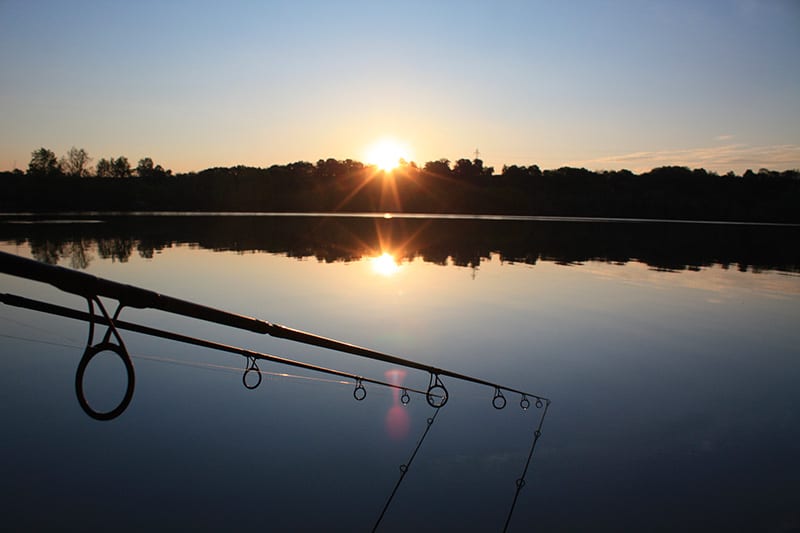 Acquisto online canne da pesca? Su Piscor grandi marchi, prezzi competitivi e garanzie ufficiali