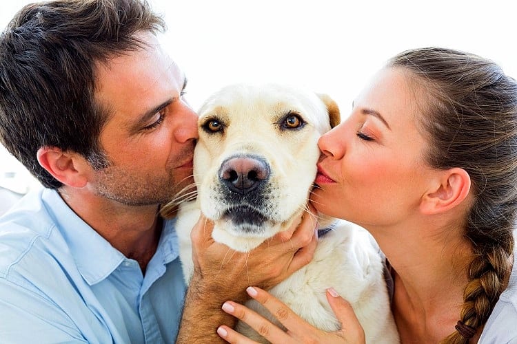 5 consigli pet-friendly di Epicura, l’innovativo poliambulatorio digitale