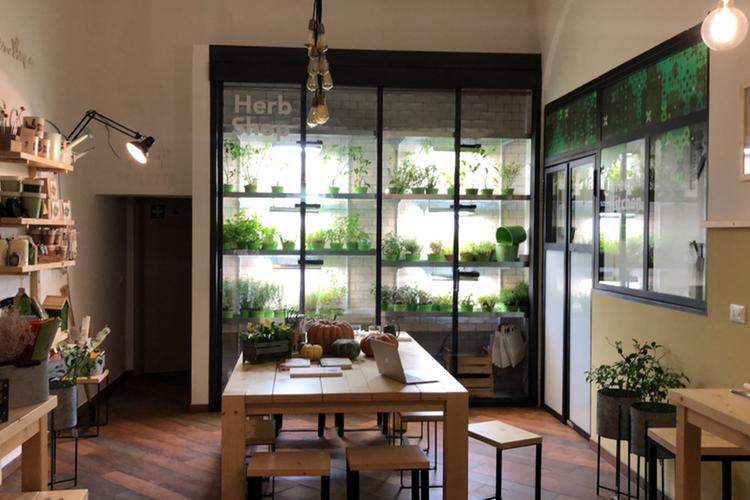 TheFork Restaurants Awards: i trend della ristorazione post Covid