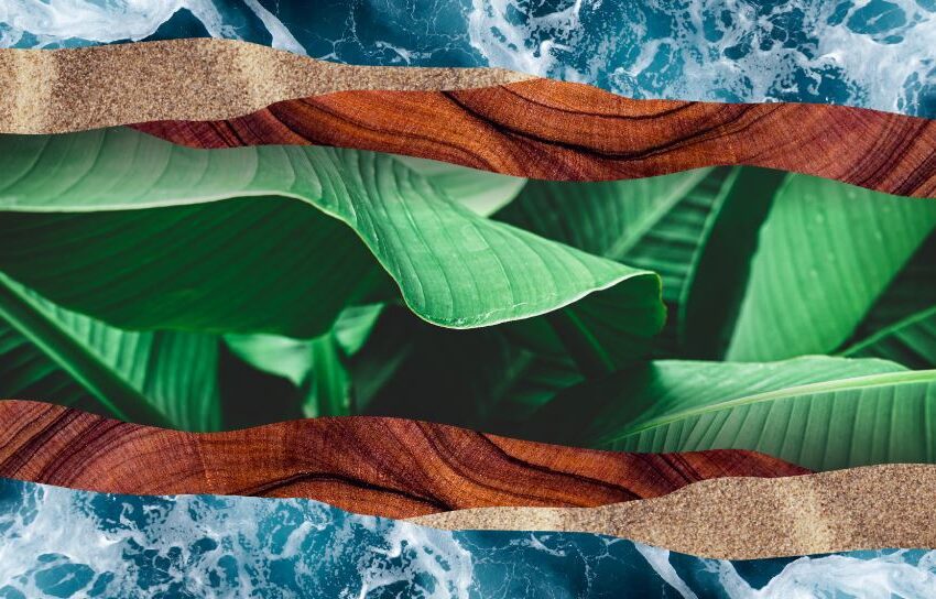 Giornata della Terra: le iniziative di Meta e la nuova funzionalità Instagram per raccogliere fondi con i Reel