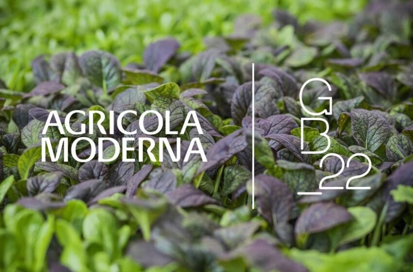 Agricola Moderna con Gitto/Battaglia_22 per puntare in alto