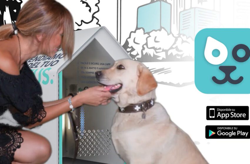 In Italia la pet economy vale 3,5 miliardi di euro: gli animali da compagnia sono considerati sempre più come membri della famiglia
