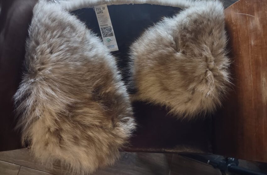 Epson sponsor del progetto Fur of Love:  un’etichetta green per dare nuova vita e significato alle pellicce pre-loved