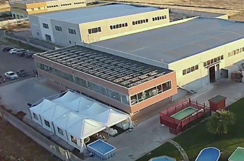 La consulenza digitale di Fattoretto Agency per Gruppo San Marco
