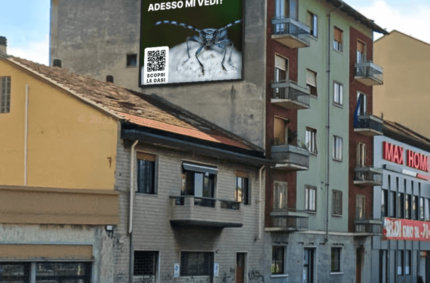 “Adesso mi vedi?” La campagna OOH di 3Bee che lancia il nuovo progetto di rigenerazione Oasi della Biodiversità