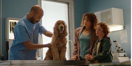  Santévet lancia una campagna televisiva emozionale per sensibilizzare sull’importanza di prendersi cura degli animali domestici