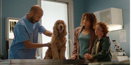  Santévet lancia una campagna televisiva emozionale per sensibilizzare sull’importanza di prendersi cura degli animali domestici