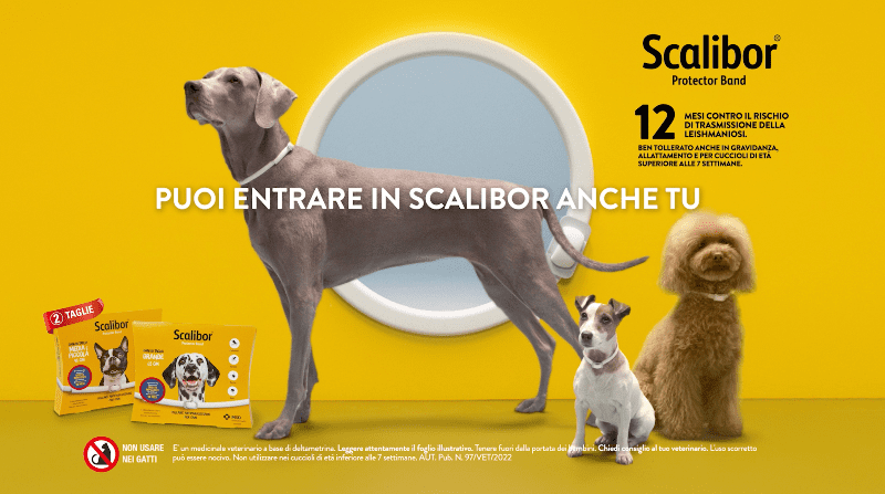 Life firma la nuova campagna Scalibor di MSD Animal Health