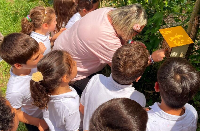 “3Bee: A Scuola di Biodiversità”. Al via il secondo anno del Programma Sostenibilità gratuito per la scuola primaria