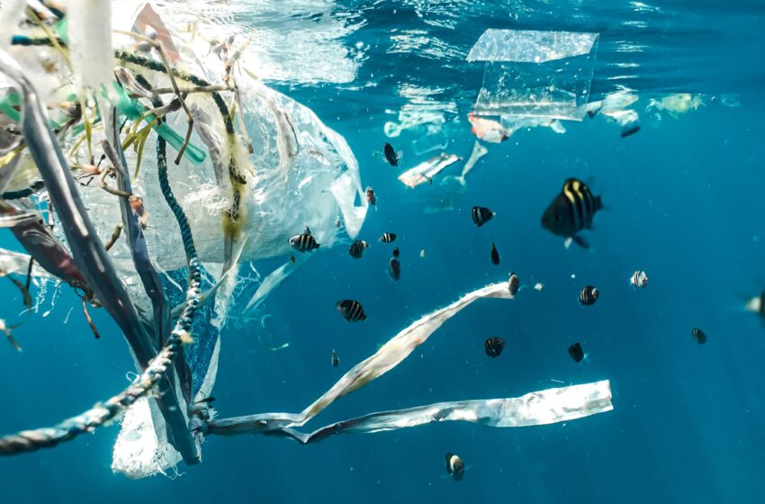 Benessere mentale e tutela dell’ambiente: un legame sempre più forte