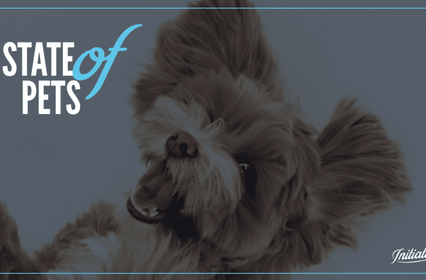 State of pets: cambiamenti nei comportamenti e opportunità in un mercato in forte crescita