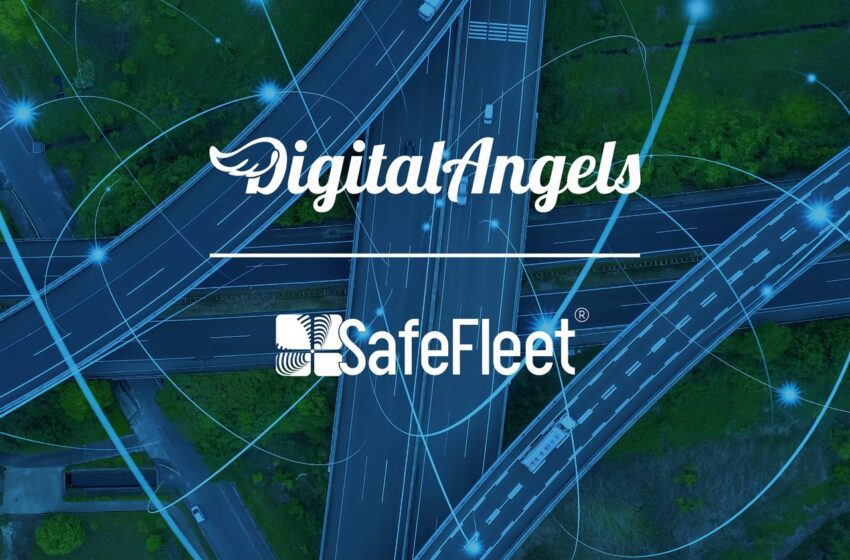 SafeFleet sceglie Digital Angels per una nuova veste grafica e ottimizzazioni SEO avanzate