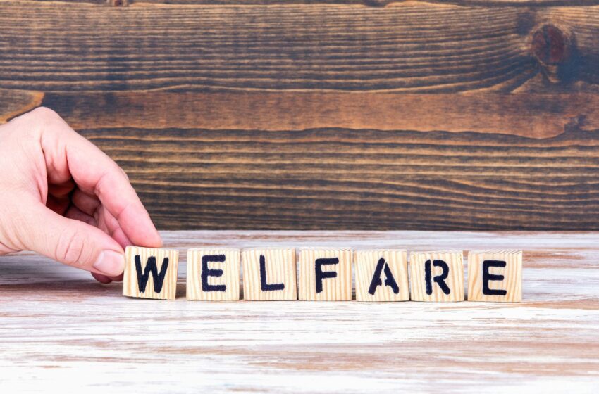  Scenario e prospettive del welfare aziendale. Presentato il primo Osservatorio a cura di AmedeA, principale Welfare center in Italia