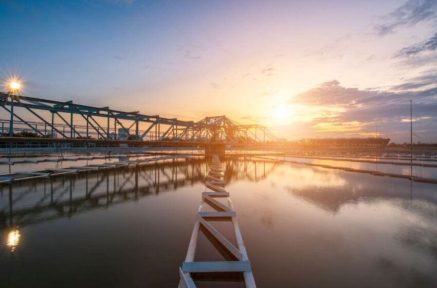Pictet Water: l’analisi di SoldiExpert SCF sulle performance del Fondo