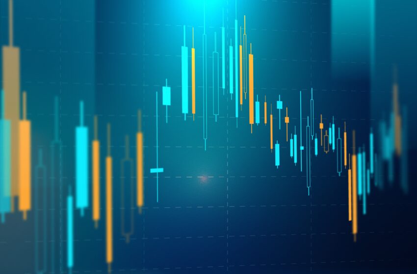  Criptovalute in Italia: nel 2024 crescita del 25%. Ma il settore resta in cerca di una direzione chiara
