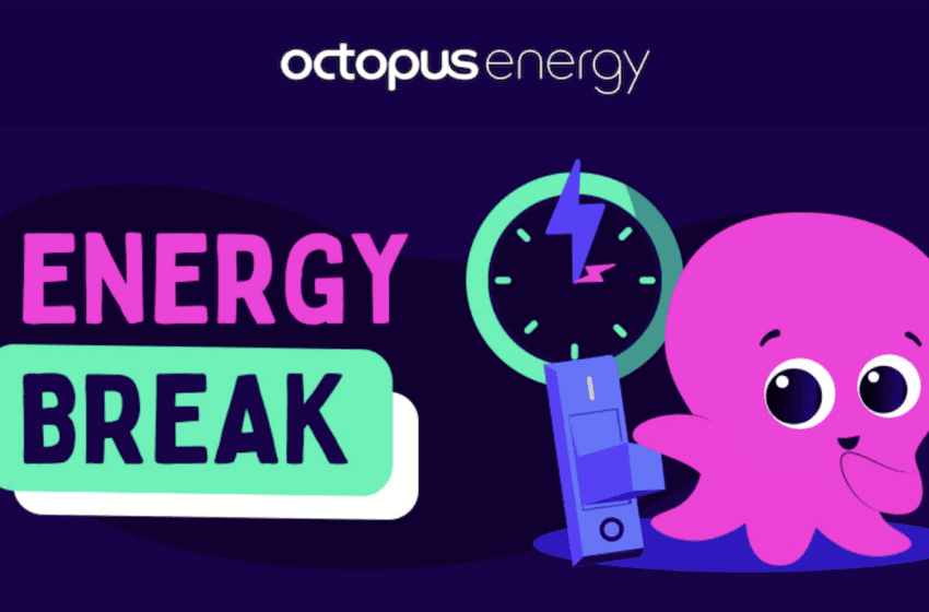Tornano gli “Energy Break” di Octopus Energy: una soluzione concreta per supportare la rete elettrica nella stagione dei black out
