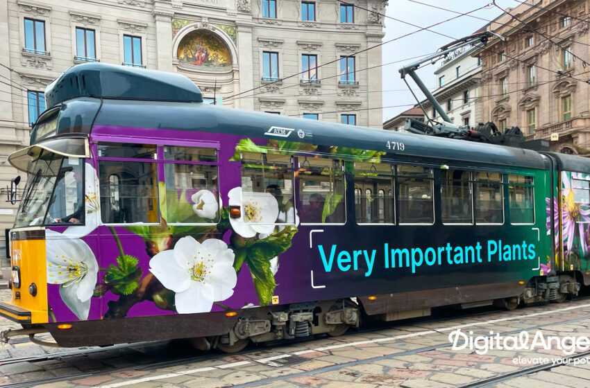  Digital Angels al fianco di 3Bee per la promozione multi country dell’app Biodiversa