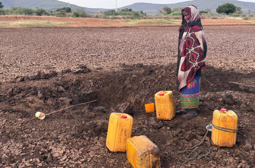  CRISI CLIMATICA: FAME ACUTA DA SICCITÀ E INONDAZIONI TRIPLICATA IN 6 ANNI
