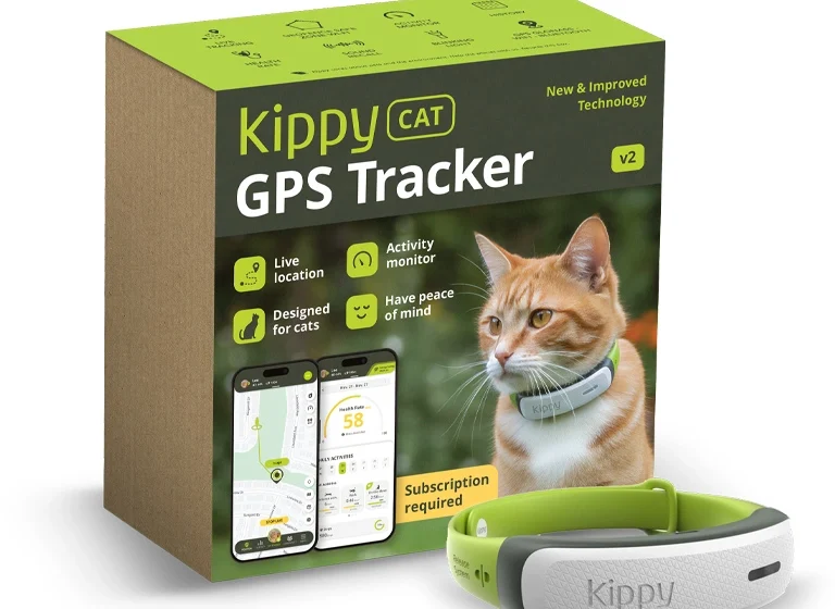  A spasso con Kippy: dal 2016 a oggi, i gatti europei hanno percorso 3,7 miliardi di km, 93 volte il giro della Terra