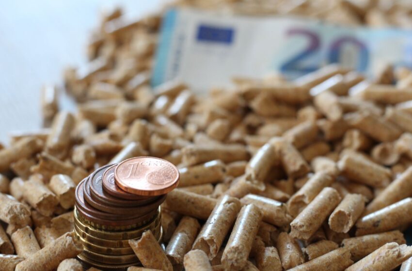  Caro energia e tensioni internazionali: le biomasse legnose restano una delle fonti più stabili e competitive per il riscaldamento