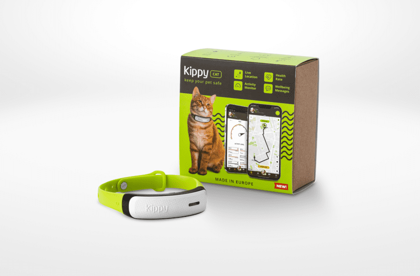  GPS tracker per cani e gatti: cosa sono, quali tipologie esistono e cosa aspettarsi. La guida di Kippy per sceglierli bene e usarli al meglio