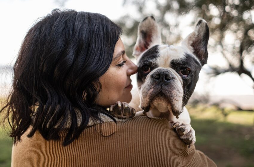  La storia della cagnolina malata Greta diventa una startup: nasce VetBook, il sistema per trovare specialisti veterinari anche nei casi più complessi