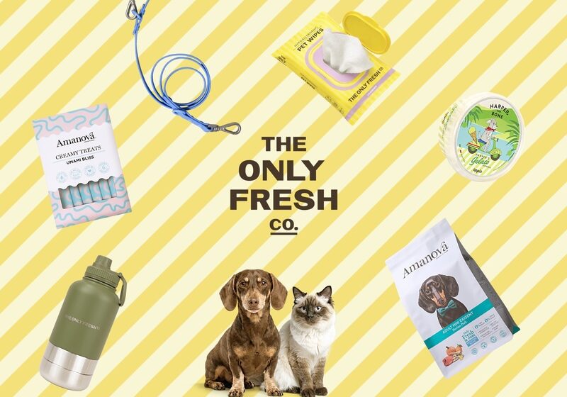  Nuovo successo per Fattoretto Agency: vinta la gara SEO internazionale di The Only Fresh Company